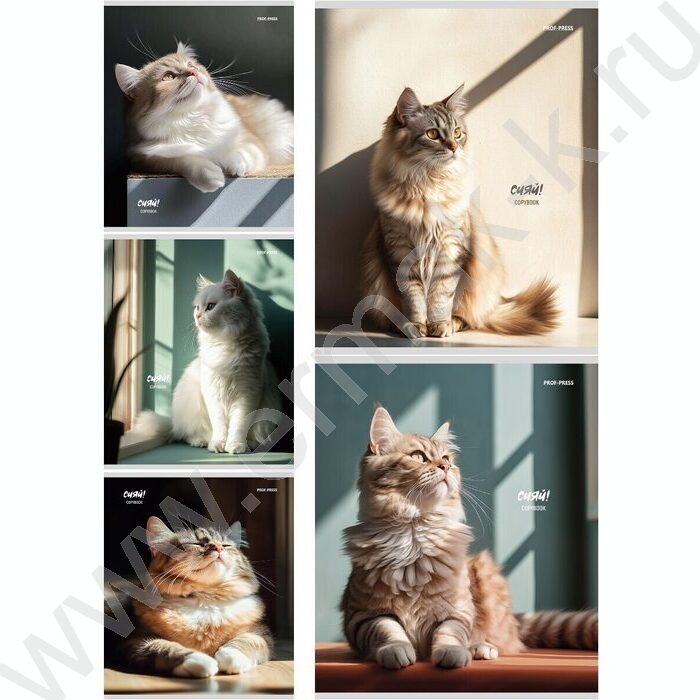 Тетрадь  48л клетка "Котики на солнце" /лен/ ассорти | Фото 1