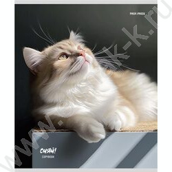 Тетрадь  48л клетка "Котики на солнце" /лен/ ассорти | Фото 2