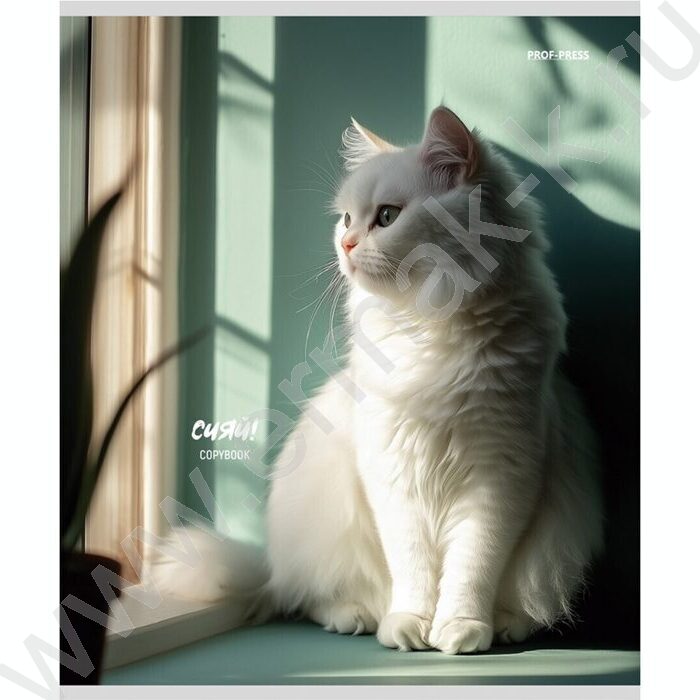 Тетрадь  48л клетка "Котики на солнце" /лен/ ассорти | Фото 3