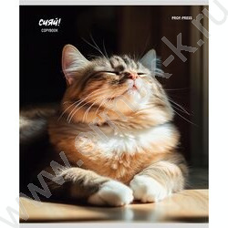 Тетрадь  48л клетка "Котики на солнце" /лен/ ассорти | Фото 5