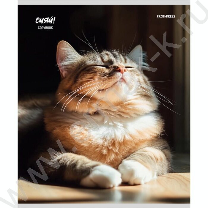 Тетрадь  48л клетка "Котики на солнце" /лен/ ассорти | Фото 5