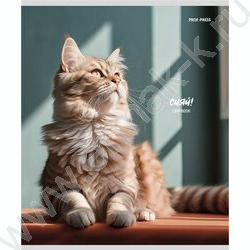 Тетрадь  48л клетка "Котики на солнце" /лен/ ассорти | Фото 6