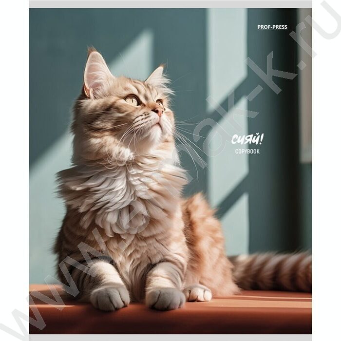 Тетрадь  48л клетка "Котики на солнце" /лен/ ассорти | Фото 6