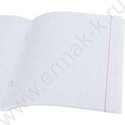 Тетрадь  48л клетка "Котики на солнце" /лен/ ассорти | Фото 7