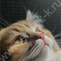 Тетрадь  48л клетка "Котики на солнце" /лен/ ассорти | Фото 8