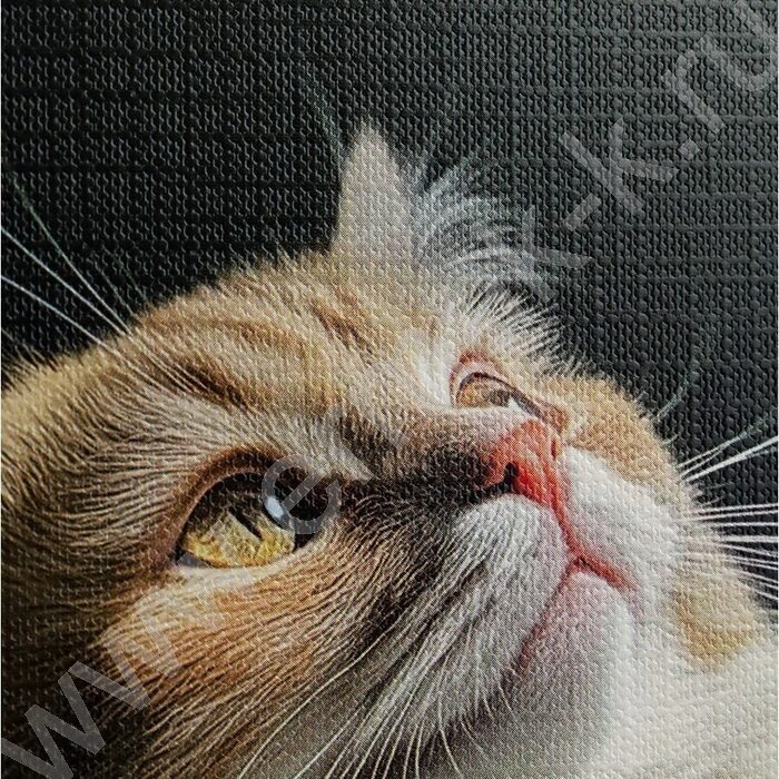 Тетрадь  48л клетка "Котики на солнце" /лен/ ассорти | Фото 8