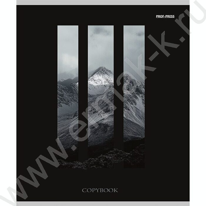 Тетрадь  96л клетка "Виды природы-5" /лен/ ассорти | Фото 4