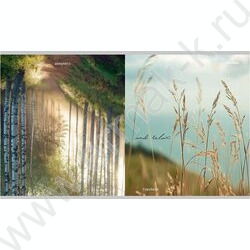 Тетрадь  96л клетка "Виды природы-7" /перевертыши ассорти | Фото 3