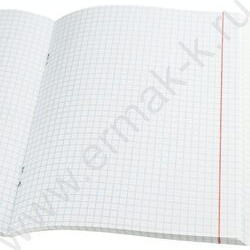 Тетрадь  96л клетка "Виды природы-7" /перевертыши ассорти | Фото 7