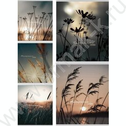 Тетрадь  96л клетка "Настроение и природа" /глит.голограф/ ассорти | Фото 1