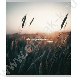 Тетрадь  96л клетка "Настроение и природа" /глит.голограф/ ассорти | Фото 3