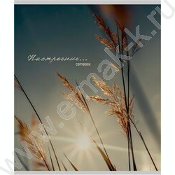 Тетрадь  96л клетка "Настроение и природа" /глит.голограф/ ассорти | Фото 4