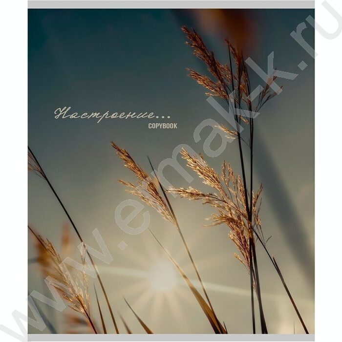 Тетрадь  96л клетка "Настроение и природа" /глит.голограф/ ассорти | Фото 4