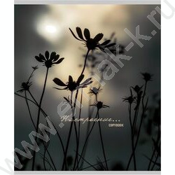 Тетрадь  96л клетка "Настроение и природа" /глит.голограф/ ассорти | Фото 5