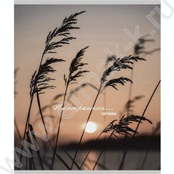 Тетрадь  96л клетка "Настроение и природа" /глит.голограф/ ассорти | Фото 6