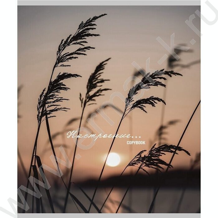 Тетрадь  96л клетка "Настроение и природа" /глит.голограф/ ассорти | Фото 6