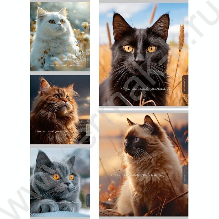 Тетрадь  96л клетка "Прекрасные коты" /софт-тач/ ассорти | Фото 1