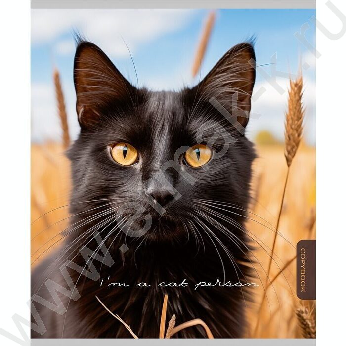 Тетрадь  96л клетка "Прекрасные коты" /софт-тач/ ассорти | Фото 2