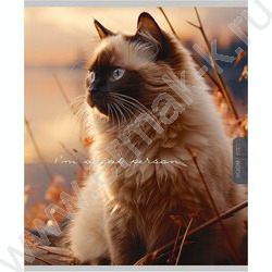 Тетрадь  96л клетка "Прекрасные коты" /софт-тач/ ассорти | Фото 3