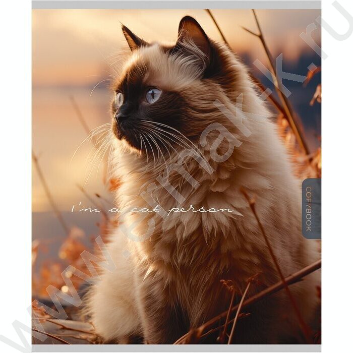 Тетрадь  96л клетка "Прекрасные коты" /софт-тач/ ассорти | Фото 3