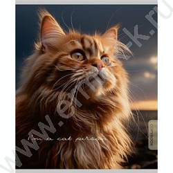 Тетрадь  96л клетка "Прекрасные коты" /софт-тач/ ассорти | Фото 5