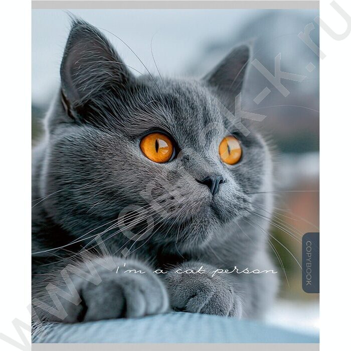 Тетрадь  96л клетка "Прекрасные коты" /софт-тач/ ассорти | Фото 6