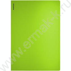 Папка  20 файлов Soft Reef /непрозрачная, ассорти | Фото 3