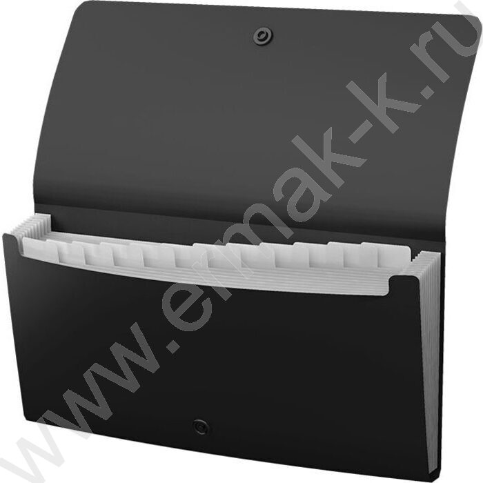 Папка картотека 13отд. Matt Classic, Check size, черная | Фото 2