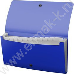 Папка картотека 13отд. Matt Classic, Check size, синяя | Фото 2