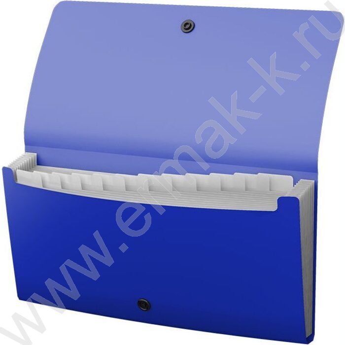 Папка картотека 13отд. Matt Classic, Check size, синяя | Фото 2