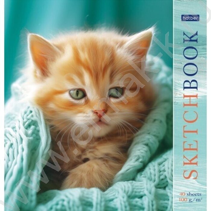 Скетчбук  40л 220*220 отрыв.склейка/тв.подложка "Котик в пледике" без линовки 100г/кв.м | Фото 1