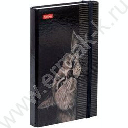 Зап. книжка  80-50л А6 спираль/тв.обл. /с клапаном на резинке "Мур-Мяу" | Фото 1