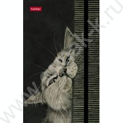 Зап. книжка  80-50л А6 спираль/тв.обл. /с клапаном на резинке "Мур-Мяу" | Фото 2