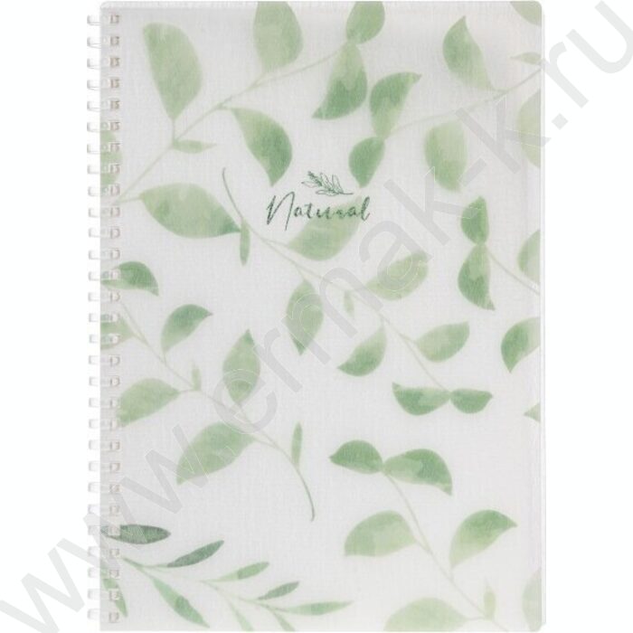 Тетрадь  80л 175*250 клетка/спираль/пл.обл./тониров.блок "NATURAL LEAVES" | Фото 1