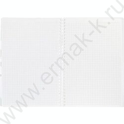 Тетрадь  80л 175*250 клетка/спираль/пл.обл./тониров.блок "NATURAL LEAVES" | Фото 2