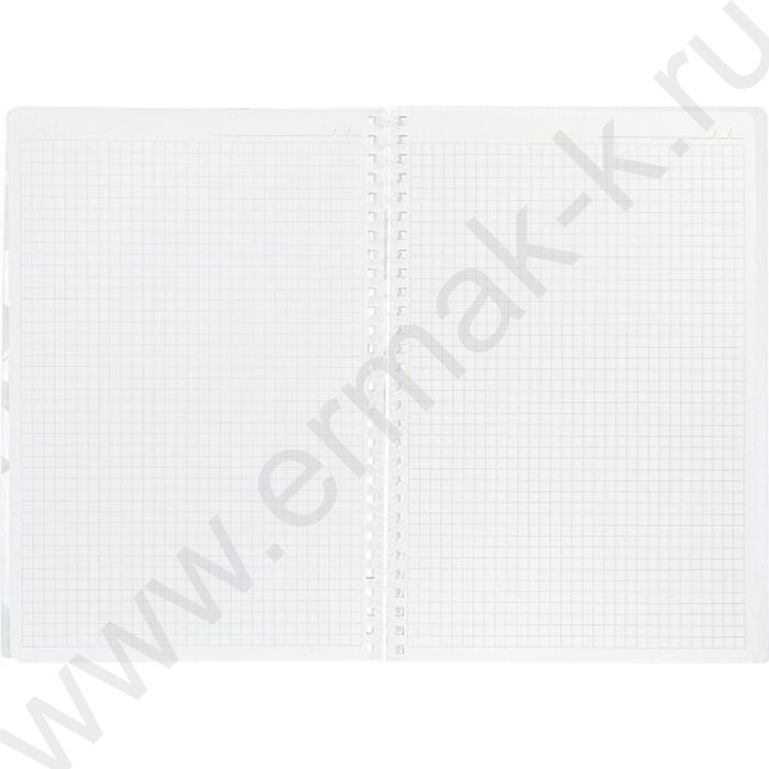 Тетрадь  80л 175*250 клетка/спираль/пл.обл./тониров.блок "NATURAL LEAVES" | Фото 2