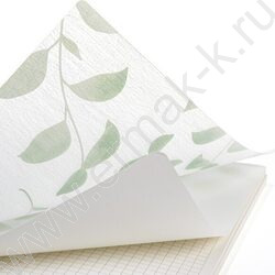 Тетрадь  80л 175*250 клетка/спираль/пл.обл./тониров.блок "NATURAL LEAVES" | Фото 3