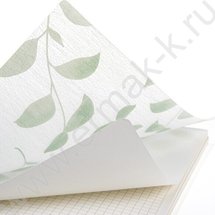 Тетрадь  80л 175*250 клетка/спираль/пл.обл./тониров.блок "NATURAL LEAVES" | Фото 3