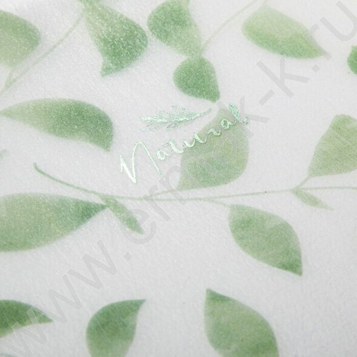 Тетрадь  80л 175*250 клетка/спираль/пл.обл./тониров.блок "NATURAL LEAVES" | Фото 5