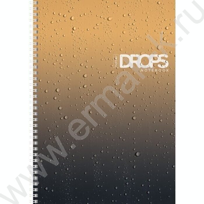 Тетрадь  80л А4 линейка /спираль /перфорация на отрыв/ "Drops" | Фото 2