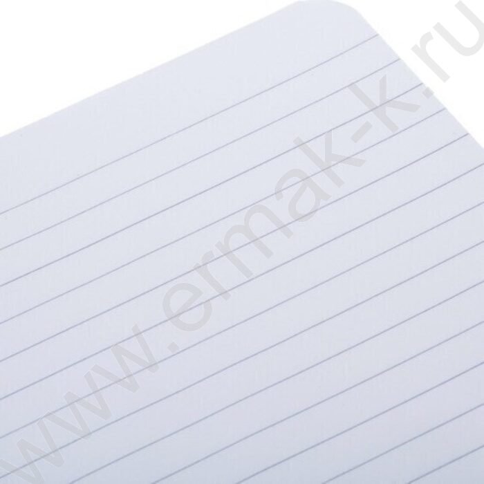 Тетрадь  80л А4 линейка /спираль /перфорация на отрыв/ "Drops" | Фото 4