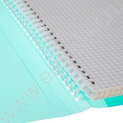 Тетрадь-папка  80л А4 клетка/спираль с клапанами на резинке/пл.обл. "Зеленая" | Фото 6