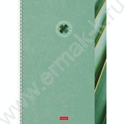 Тетрадь  96л А4 линейка/спираль/перфорация на отрыв "Вдохновение вокруг" 2вида | Фото 2