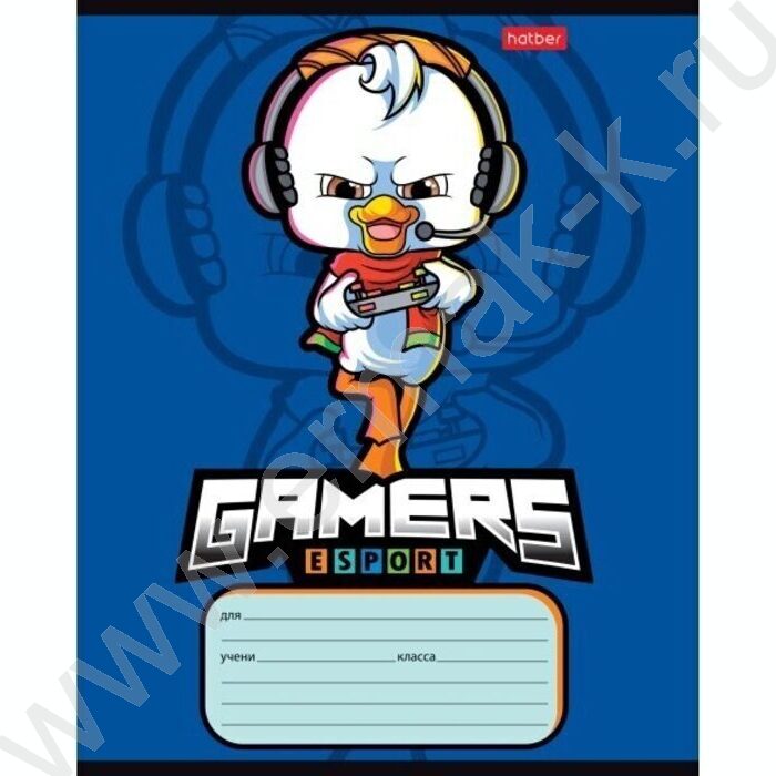 Тетрадь  12л линейка "Геймеры" 5видов | Фото 2