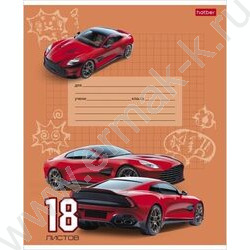 Тетрадь  18л клетка "Гоночные авто" 5видов | Фото 4