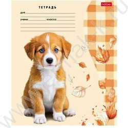 Тетрадь  24л линейка "Милые носики" 5видов | Фото 1