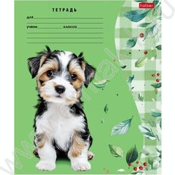 Тетрадь  24л линейка "Милые носики" 5видов | Фото 2