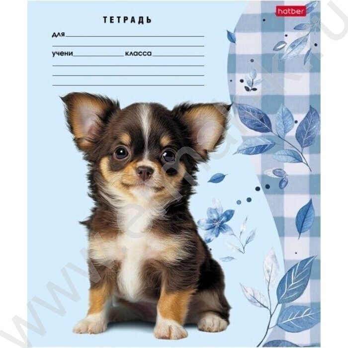 Тетрадь  24л линейка "Милые носики" 5видов | Фото 3