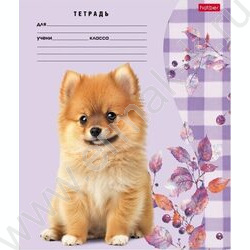 Тетрадь  24л линейка "Милые носики" 5видов | Фото 5