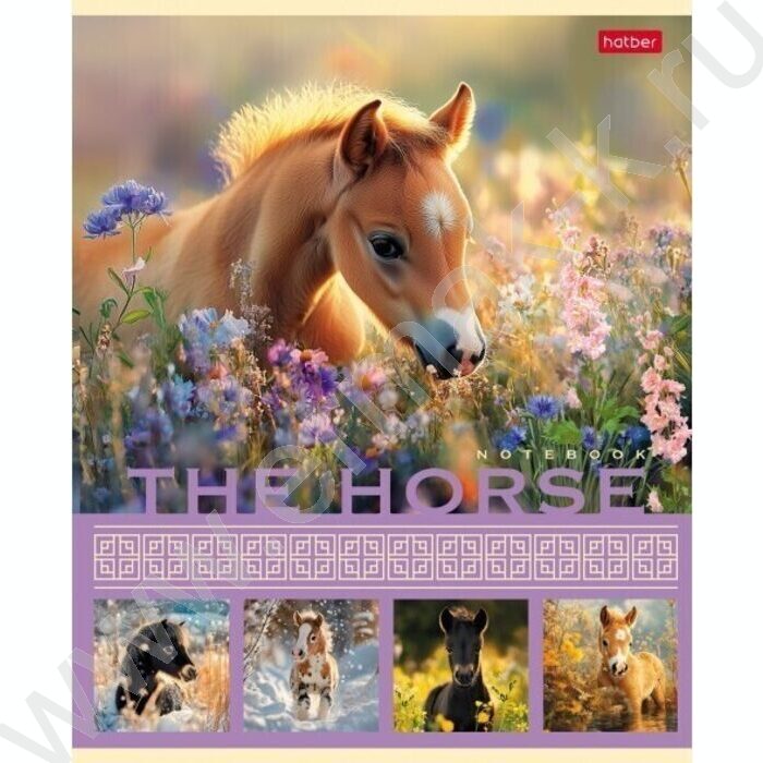 Тетрадь  40л клетка "The Horse" ассорти | Фото 1